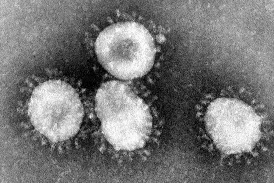 Coronavirus: domande frequenti