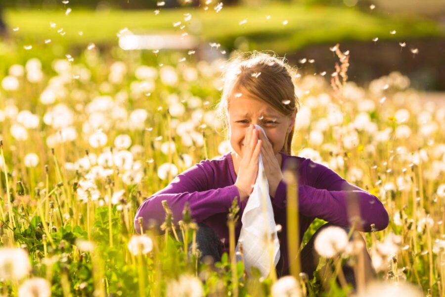 Allergie di primavera